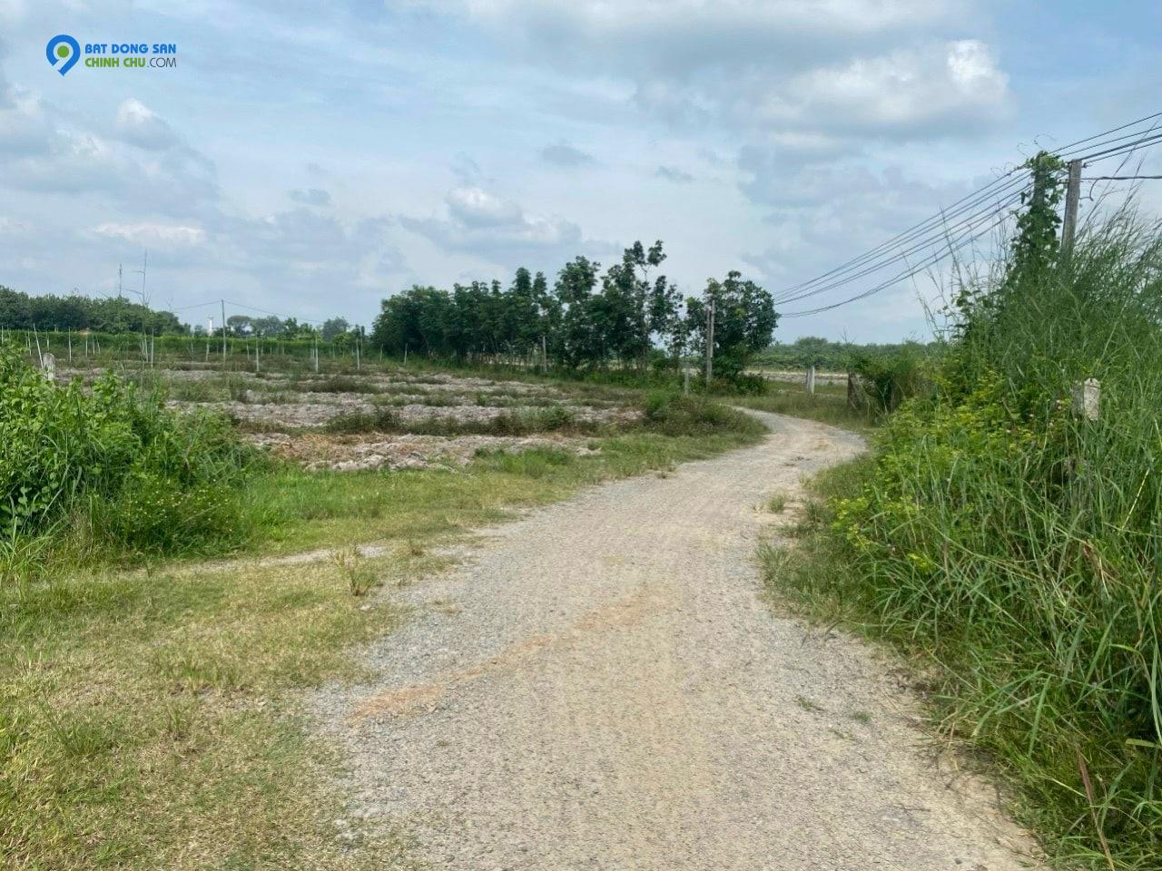 Đất nền bán tại đường 785, Phường Ninh Sơn, Tây Ninh, giá 1,25 tỷ, 620m2 Đường 785, Phường Ninh Sơn, Tây Ninh,, giá 1,25 tỷ, 620m2 Đường 785, Phường Ninh Sơn, Tây Ninh,
