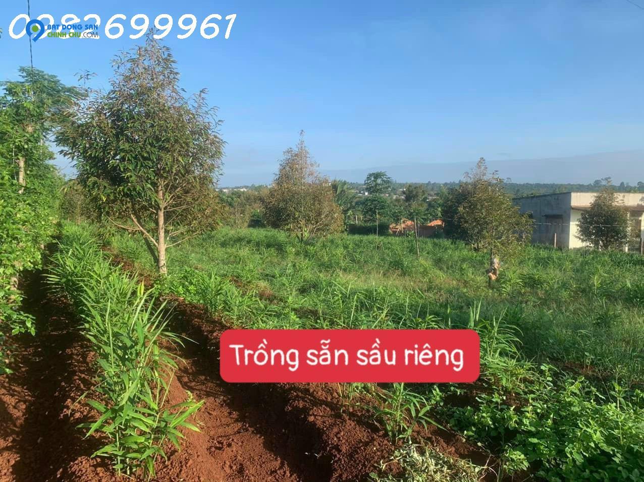 700 triệu giờ chỉ bán 350 triệu sát bên ủy ban xã phú xuân krong năng