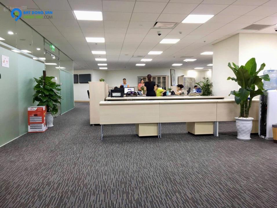 AI Bán nhà 228m², 7 tầng, Lý Thường Kiệt, Tân Bình, 85 tỷ, sổ đỏ