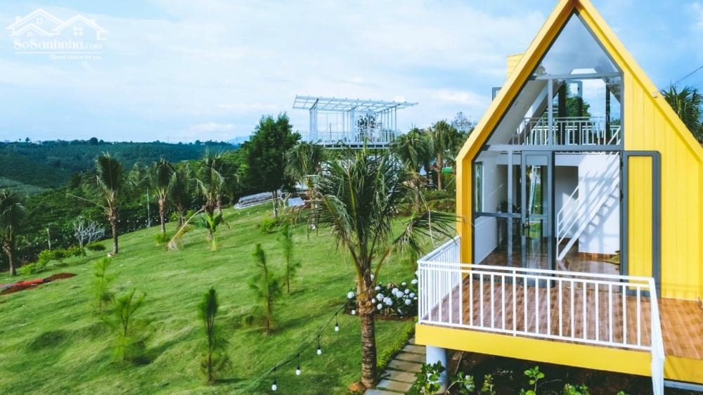 BÁN ĐẤT NỀN KHU NGHỈ DƯỠNG HOMESTAY SUNFLOWER NGAY BẢO LÂM - LÂM ĐỒNG