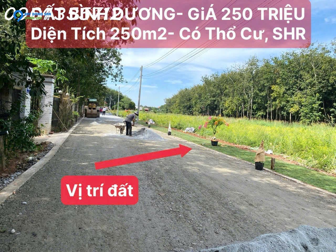 BÁN ĐẤT SỔ SẴN 250M2 TÂN LONG - PHÚ GIÁO - GIÁ 780 TRIỆU