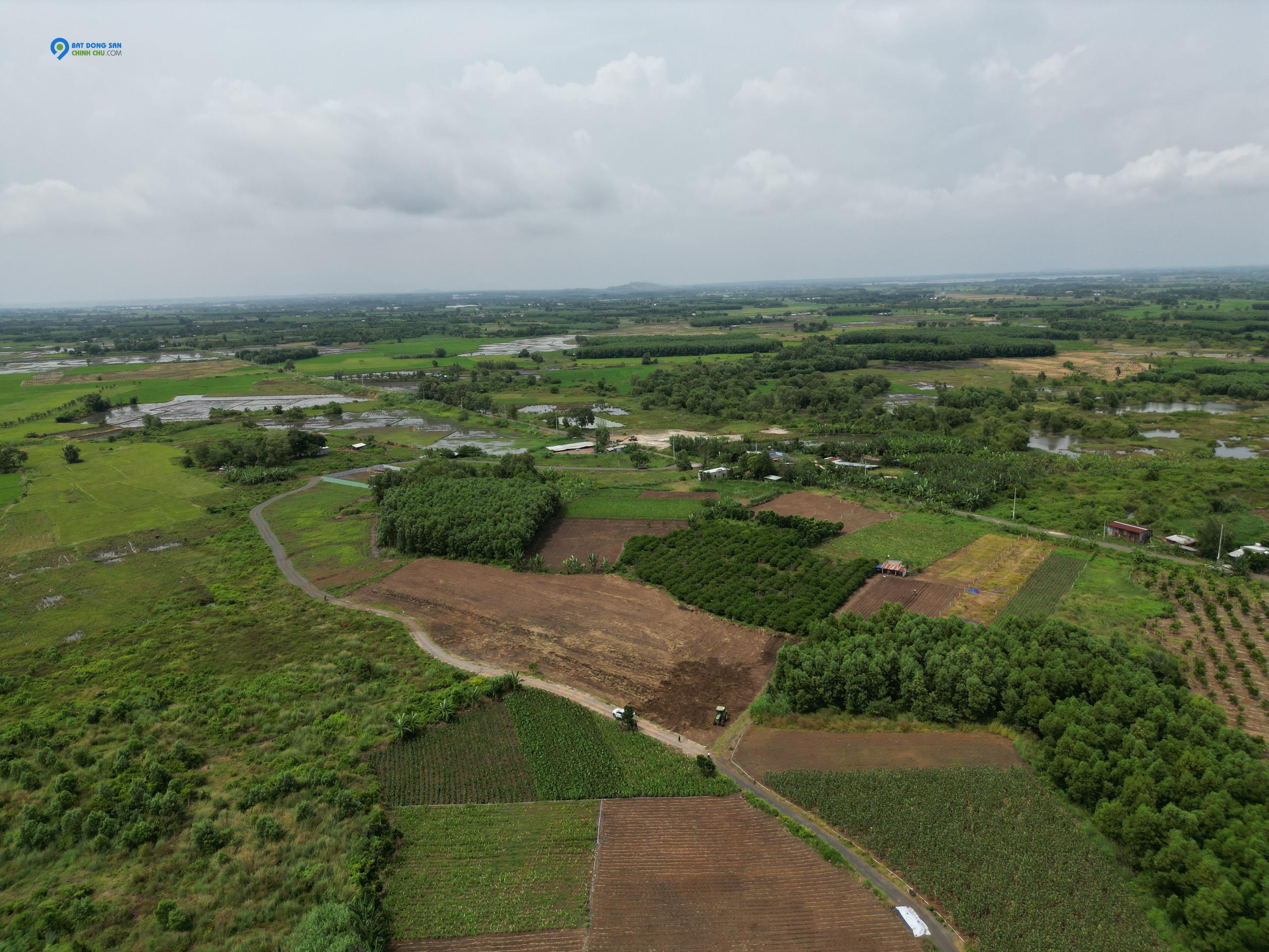 Bán đất làm nhà vườn tại huyện Đất Đỏ - Bà Rịa Vũng Tàu , giá rẻ chưa đến 1 tỷ 500 triệu.