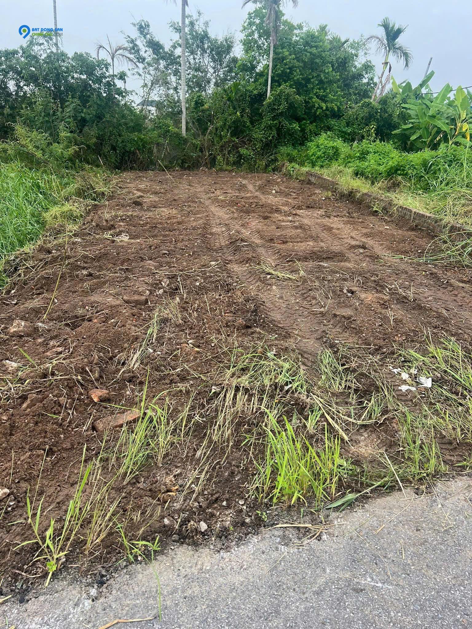 Bán đất mặt đường Nhà Mạc, Hòa Nghĩa, Dương Kinh