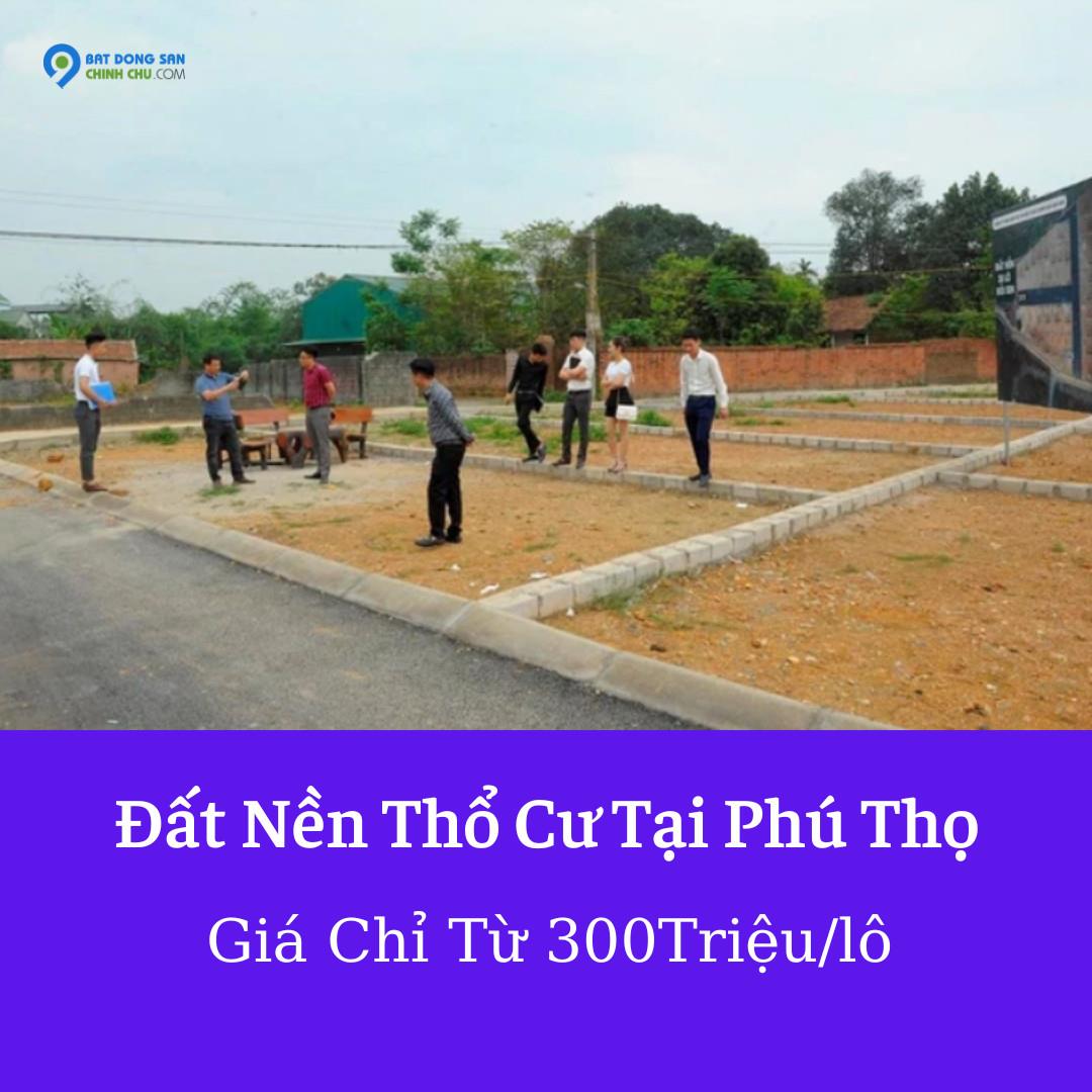 CHÍ CÔNG CHUYÊN ĐẤT NỀN GIÁ RẺ THANH HOÁ PHÚ THỌ 250 TRIỆU/LÔ