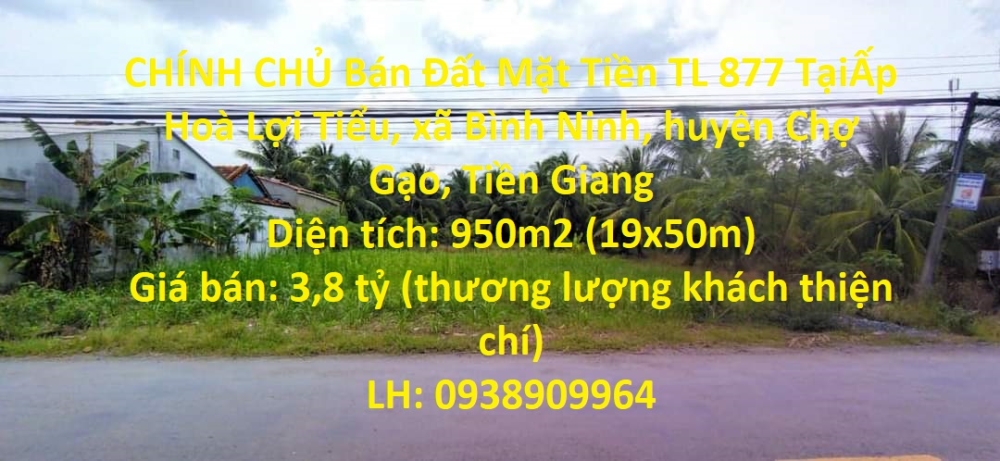 CHÍNH CHỦ Bán Đất Mặt Tiền TL 877 Tại Xã Bình Ninh, Chợ Gạo, Tiền Giang