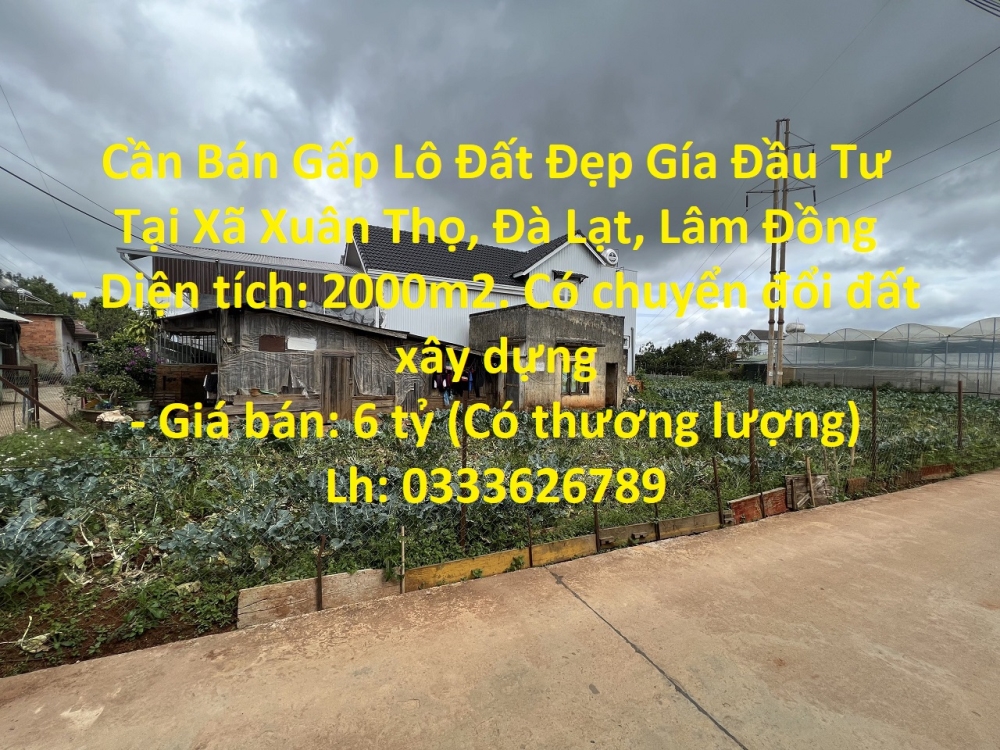 Cần Bán Gấp Lô Đất Đẹp Gía Đầu Tư Tại Xã Xuân Thọ, Đà Lạt, Lâm Đồng