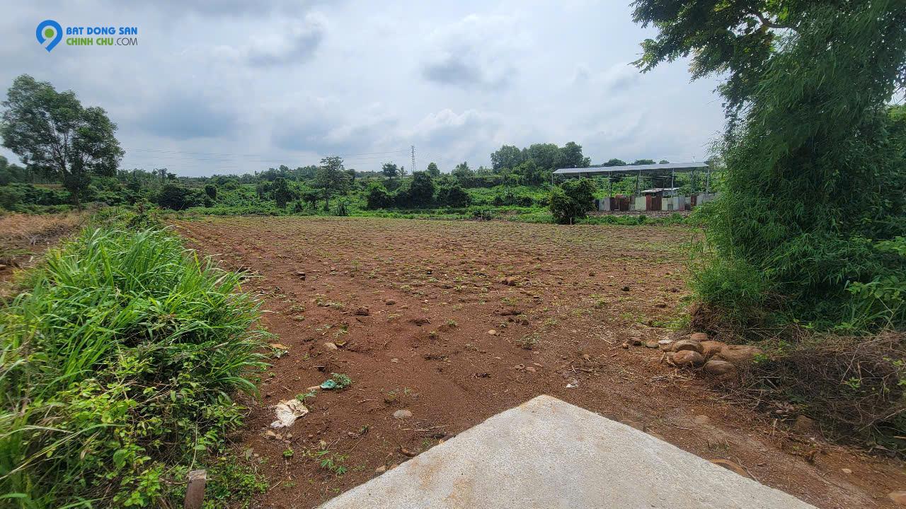 Cần bán 2 lô đất liền kề, có đất ở, view suối, xã Đá Bạc – Châu Đức – Giá chỉ 2,1 tỷ cho gần 5000m²