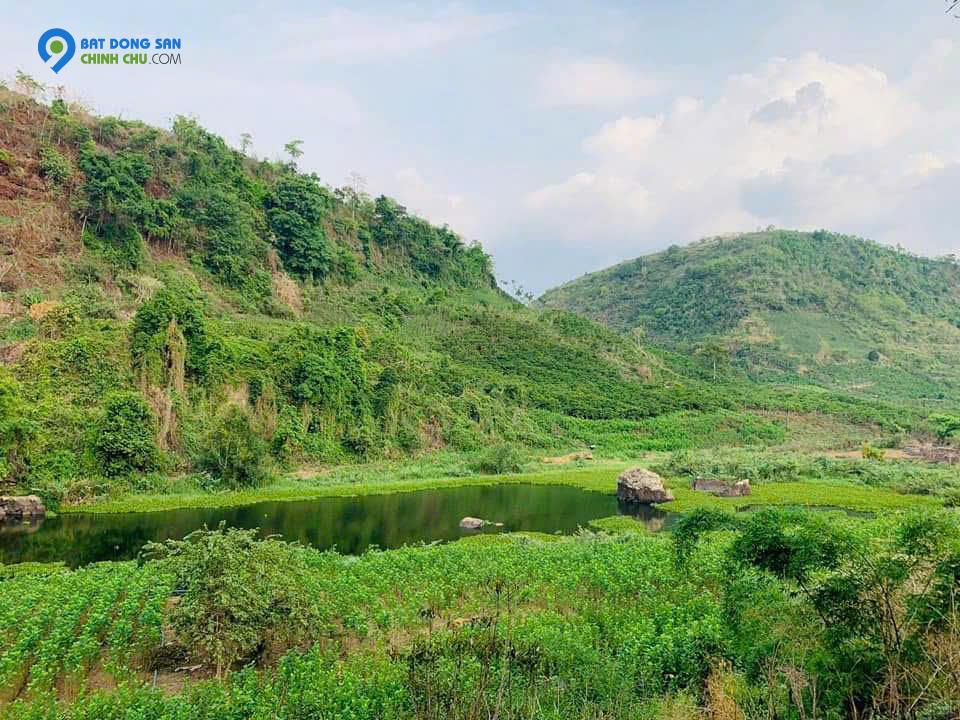 Cần bán gấp lô đất nền đầu tư kinh doanh Homestay nghỉ dưỡng tại Đà Lạt Lâm Đồng