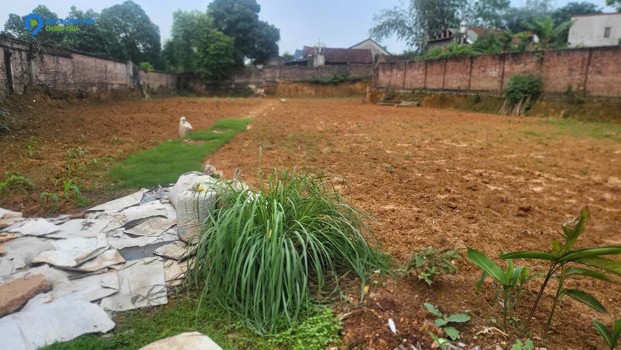 Chính chủ bán 1154m2  đất đầu tư, đường Lạc Hồng, Thì trấn Lâm Thao, Phú Thọ