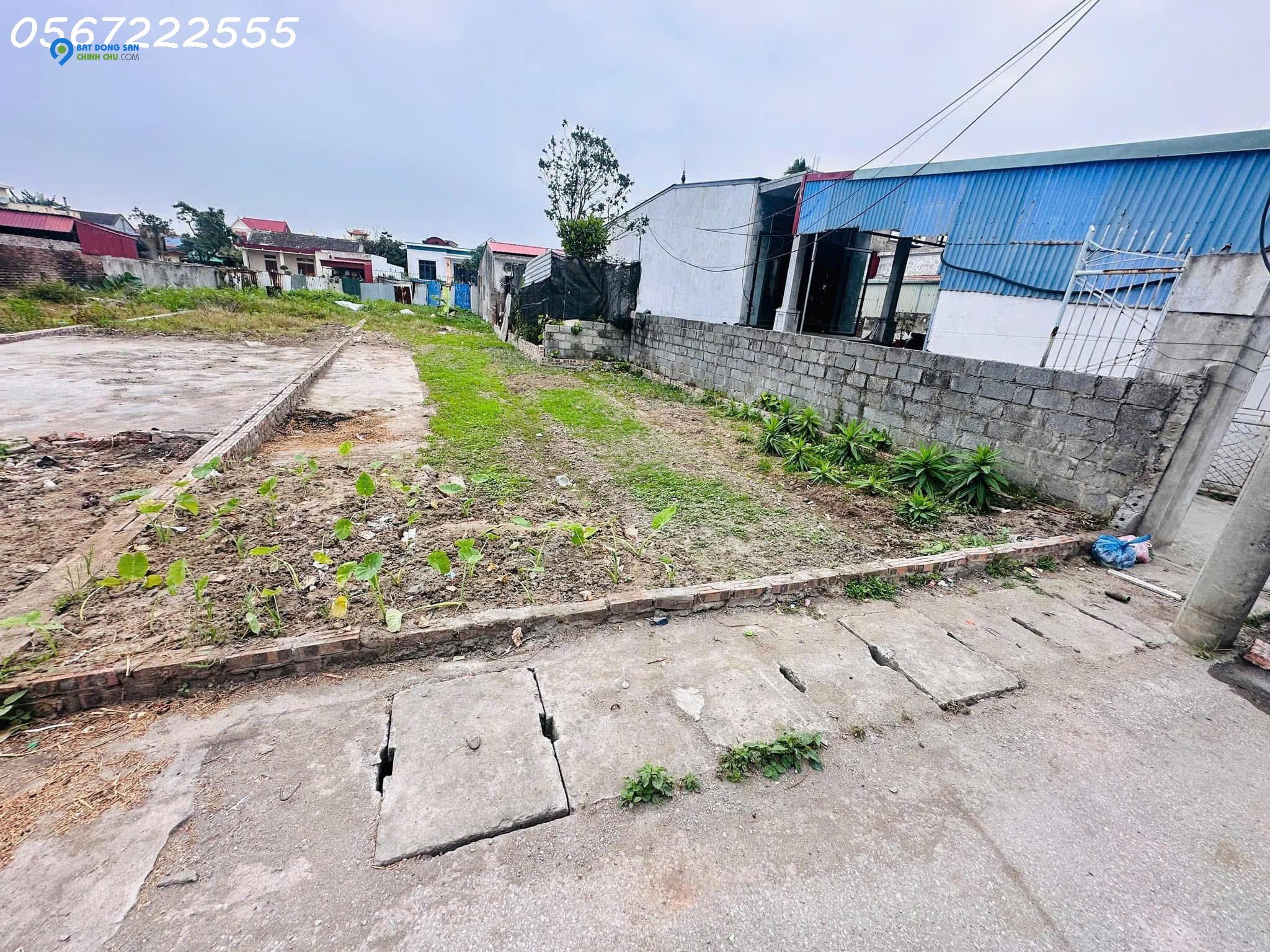 Chính chủ bán đất tuyến 2 tỉnh lộ 403, thôn Ngũ Đoan, huyện Kiến Thụy, Hải Phòng.