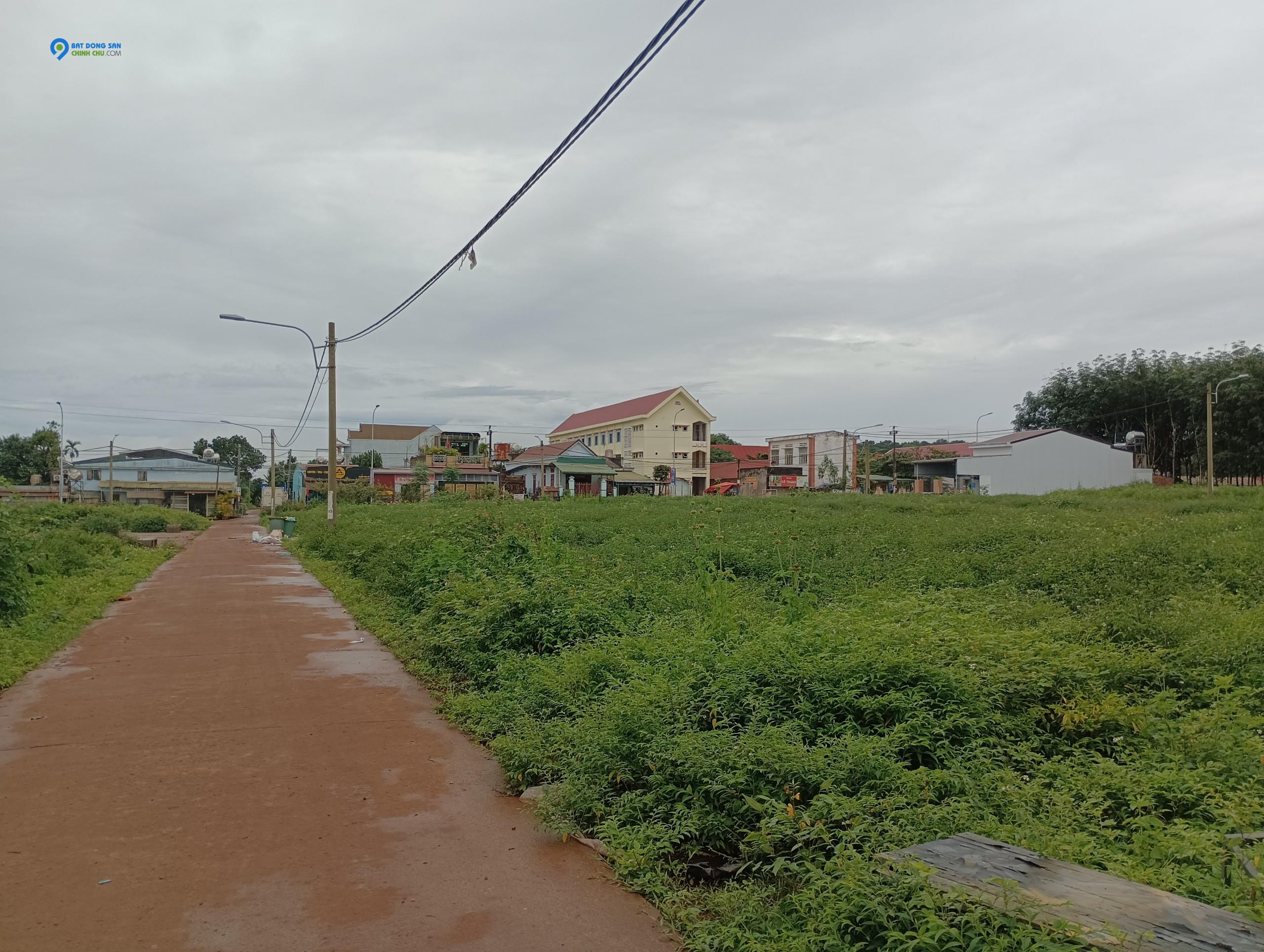 Chính chủ cần ra đi gấp 3 lô đất trung tâm Phú Lộc, Krông Năng
