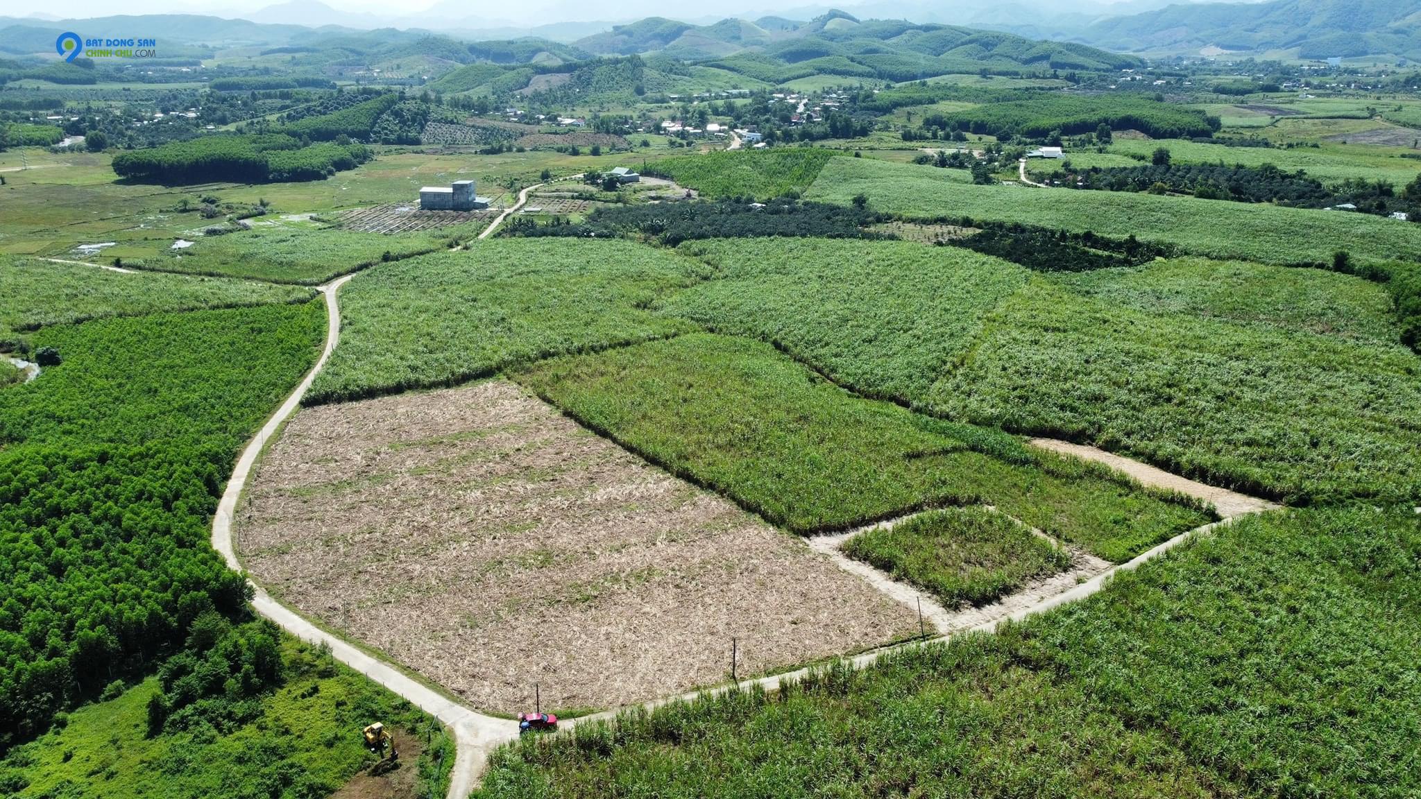 Cơ Hội Sở Hữu Mảnh Đất Đẹp Tại Thôn Suối Lách, Khánh Trung, Khánh Vĩnh diện tích 1000m2 ngang giá chỉ 550tr Đang Chờ Bạn!