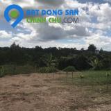 Đất nền NN đa dụng Trồng nông sản giá trị cao tại Bát Xát - Lào Cai giá chỉ 300tr