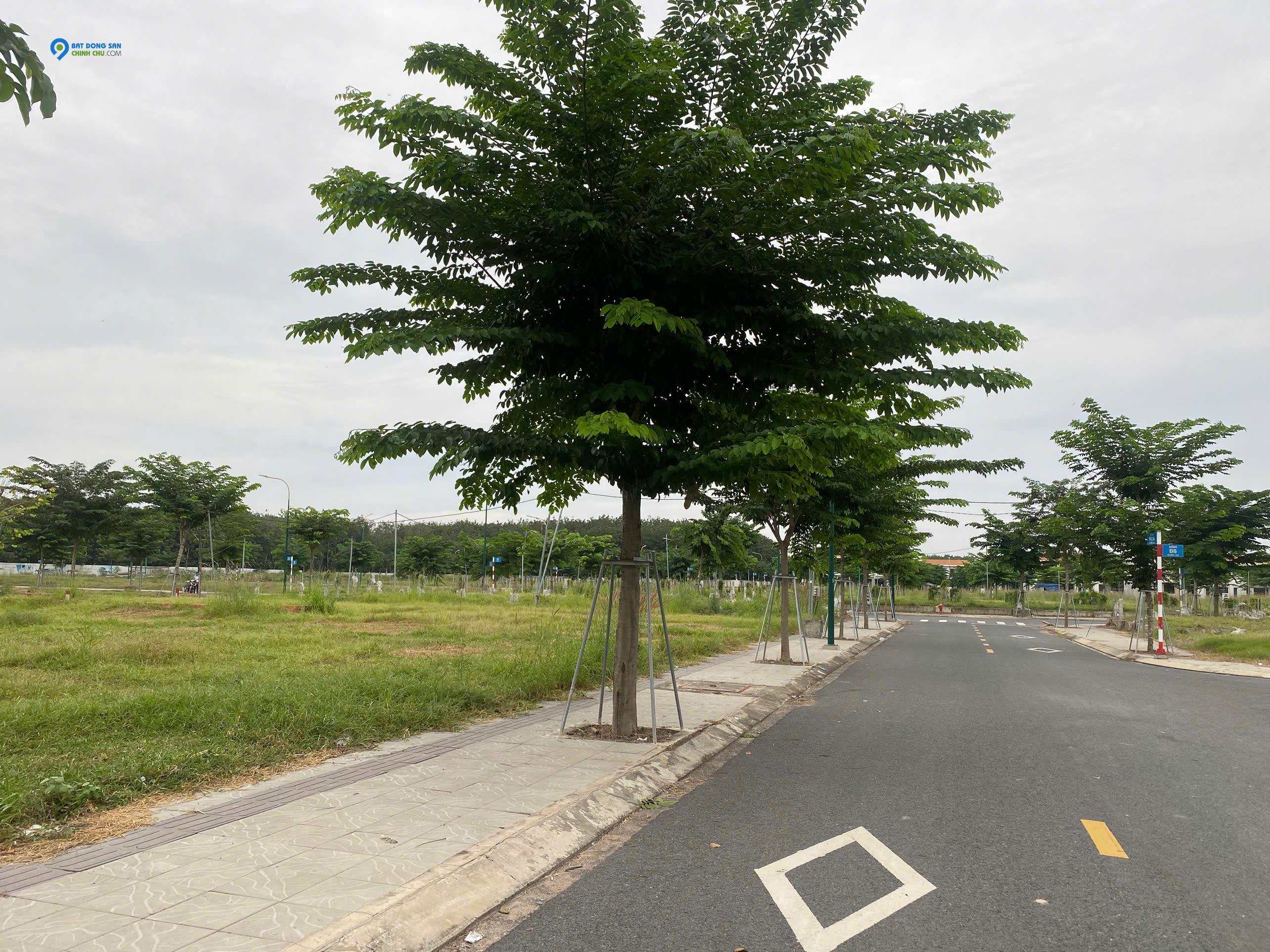 Đầu Tư An Toàn: Lô Đất Nền Tại Hòa Lợi, Sổ Sẵn, Tiện Ích Đầy Đủ Đất Dự Án Richland Residence – Thổ Cư 100%, Gần KCN Mỹ Phước 3