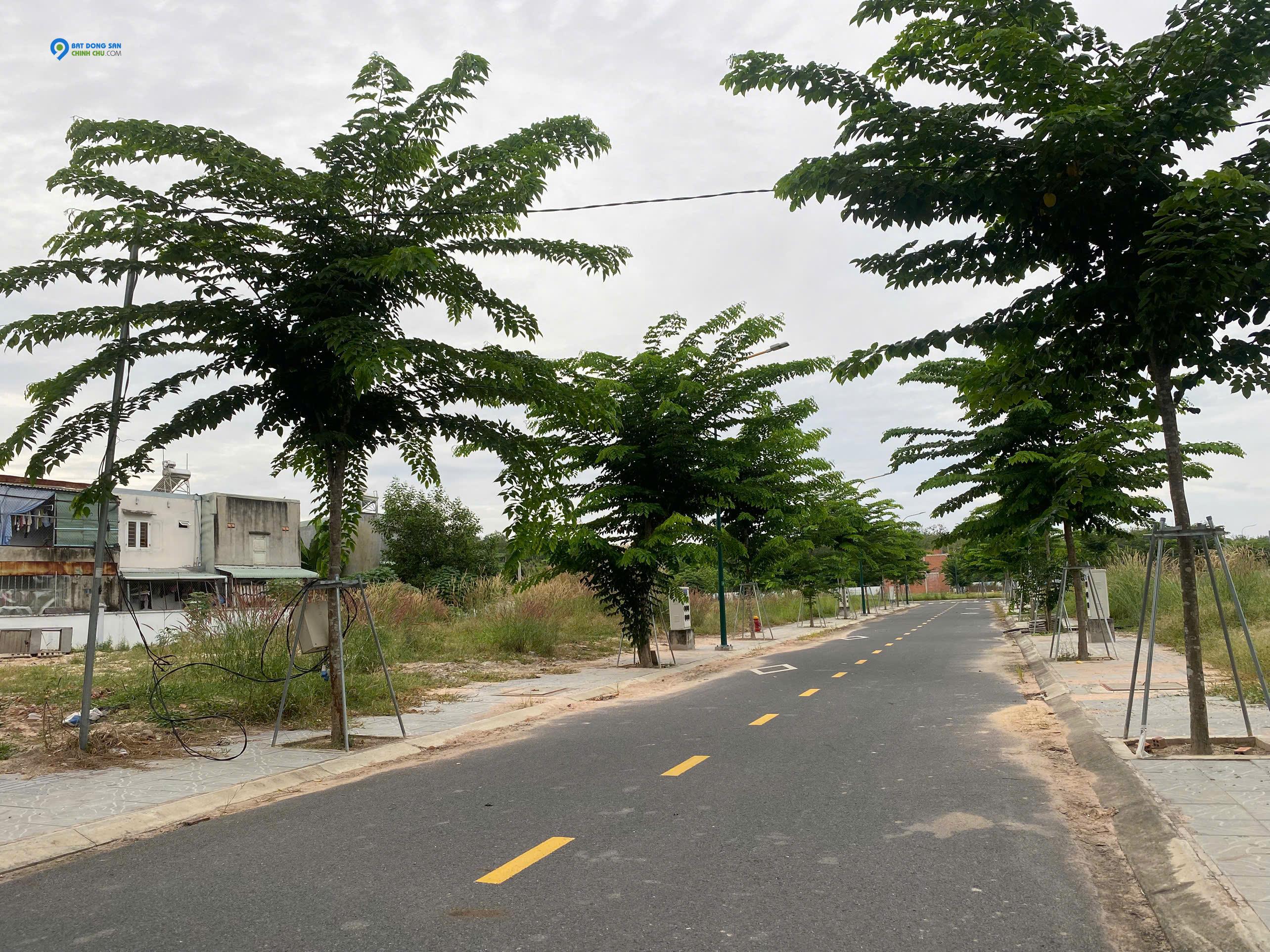 Đầu Tư An Toàn: Lô Đất Nền Tại Hòa Lợi, Sổ Sẵn, Tiện Ích Đầy Đủ Đất Dự Án Richland Residence – Thổ Cư 100%, Gần KCN Mỹ Phước 3