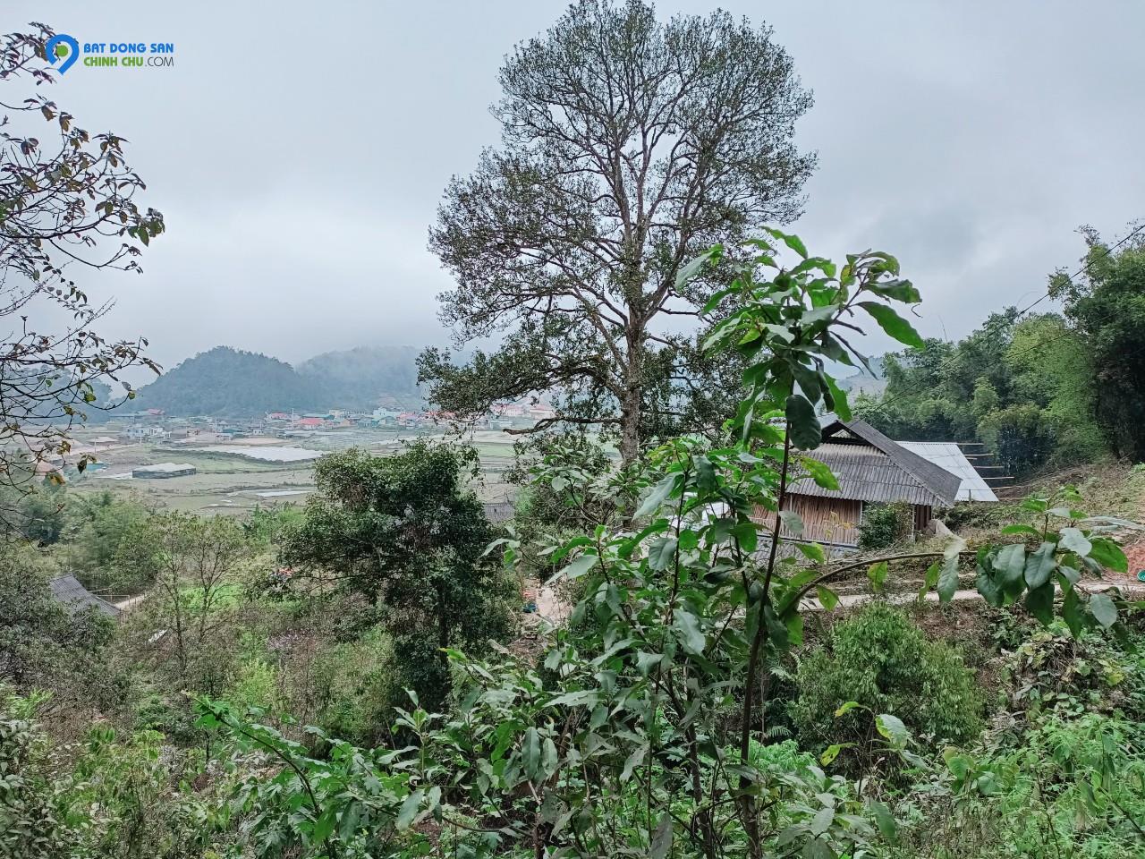 Mảnh đất View thung lũng rất đẹp tại Sả Xéng, Tả Phìn, Sapa