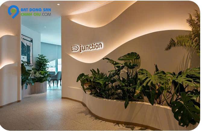 Nhà đầu tiên xứng đáng hơn bạn nghĩ