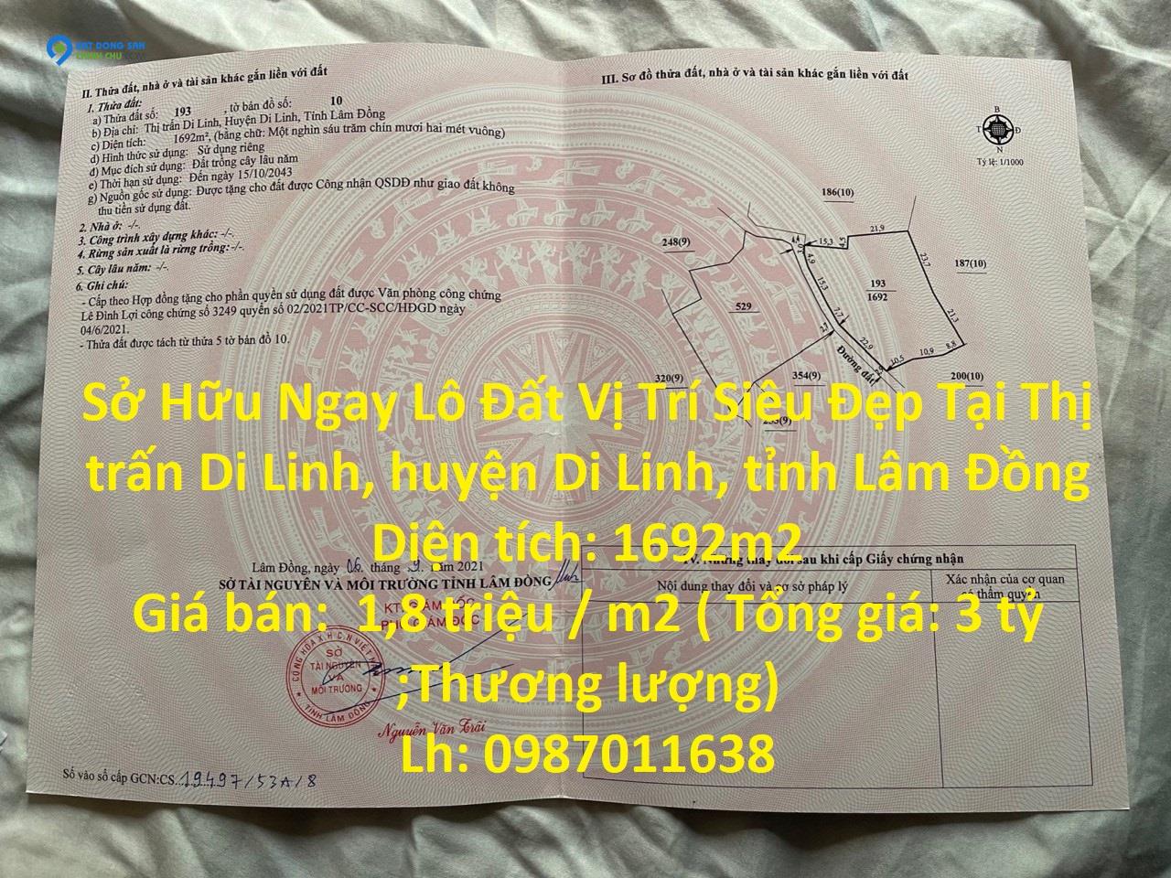 Sở Hữu Ngay Lô Đất Vị Trí Siêu Đẹp Tại Di Linh – Giá Đầu Tư.