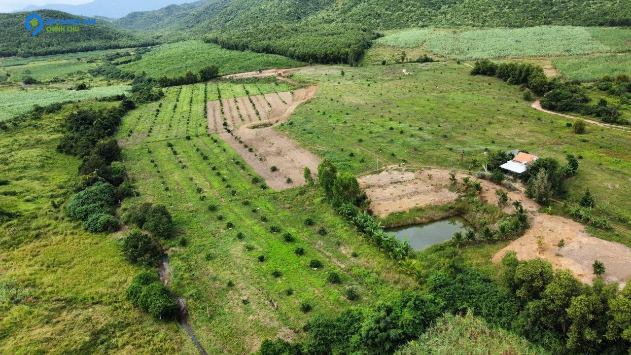 Vườn cây ăn trái ở Ninh Sơn, Tx. Ninh Hoà 8,6 hecta giá chỉ 8,6 tỷ