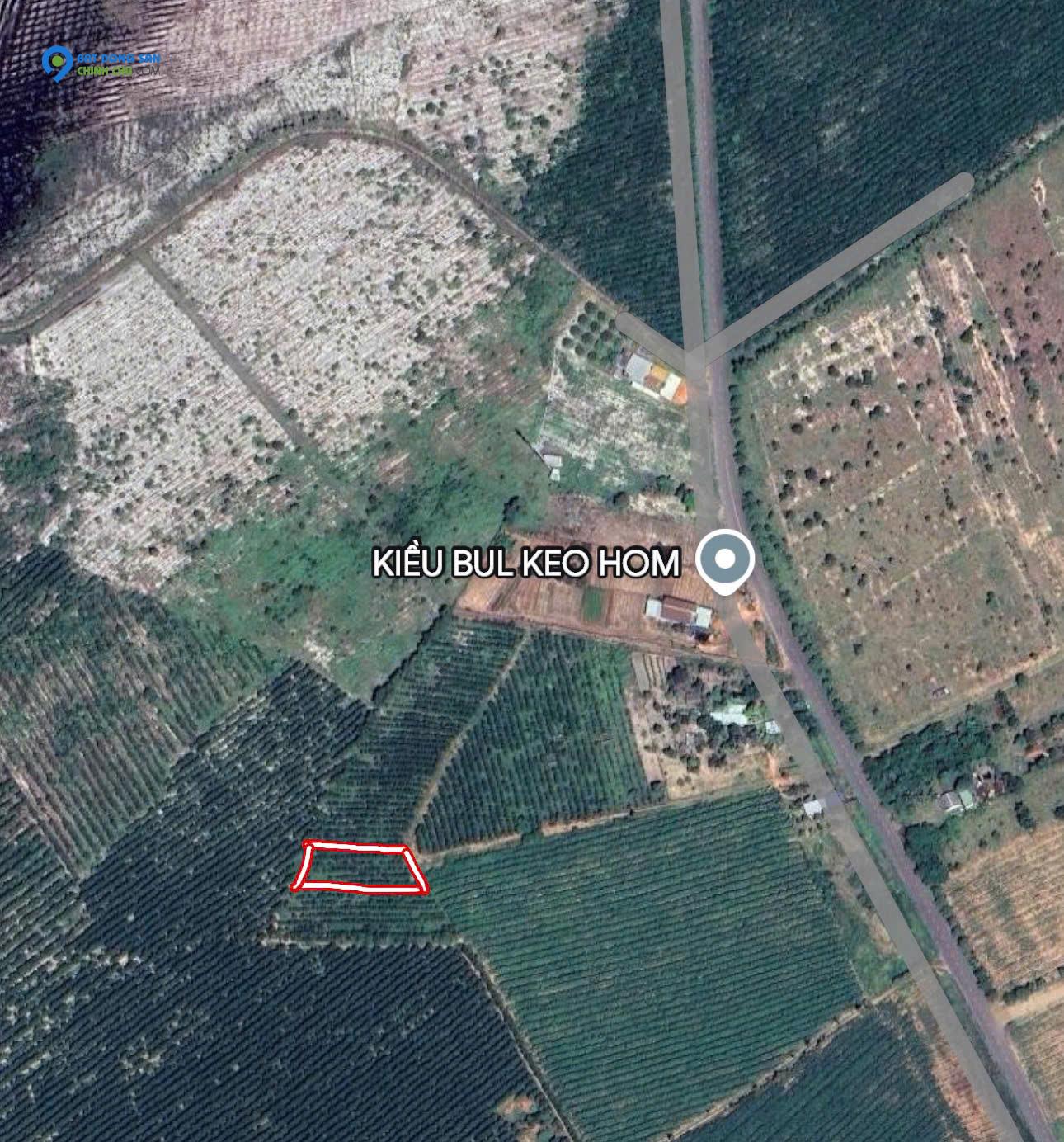 Cơ Hội dự án Vàng: 1033m2 Đất Thổ Cư Quốc Lộ 55, Hàm Tân - Bình Thuận, Chỉ 1 Tỷ!