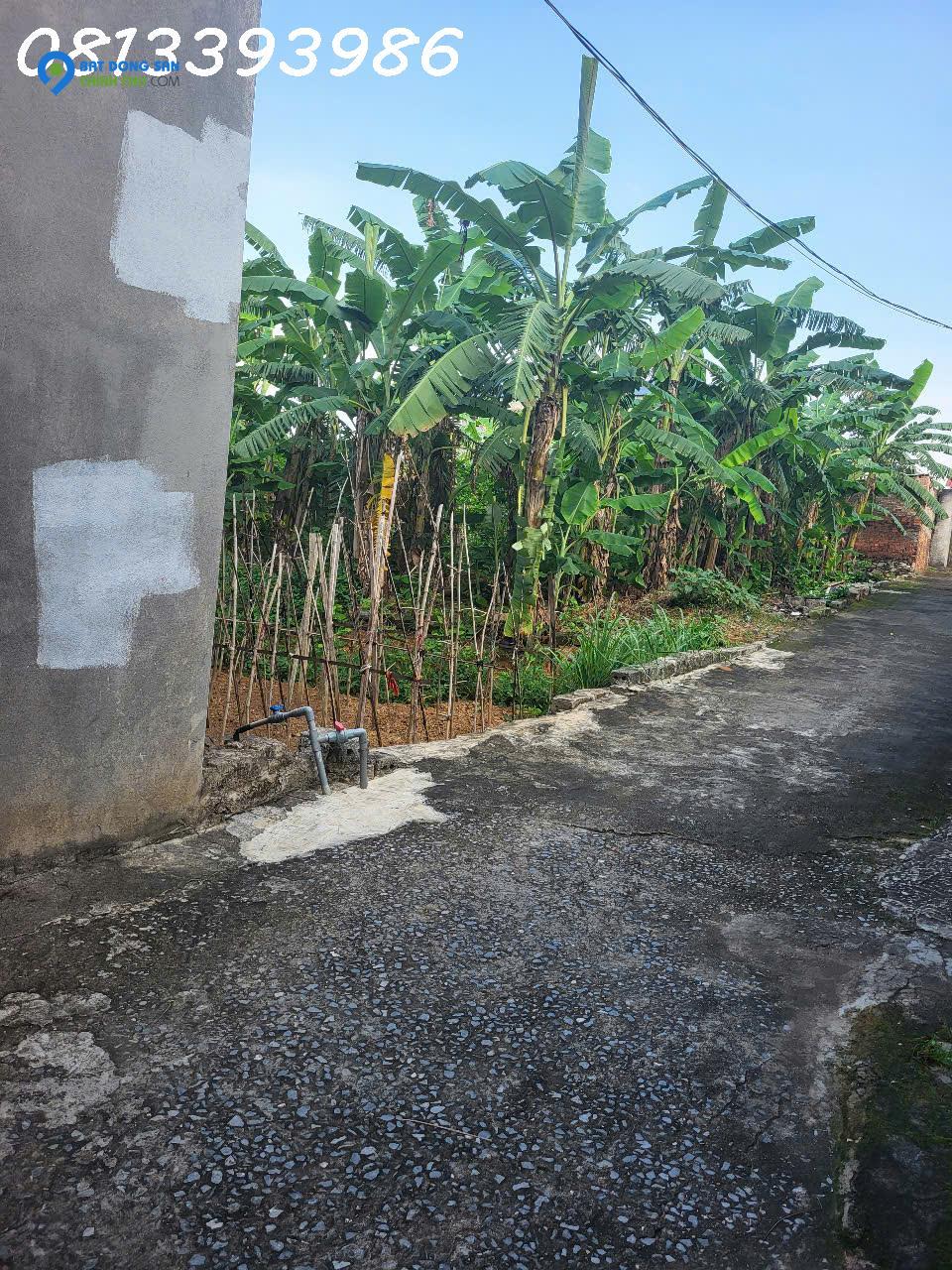 💣 Bất Ngờ Với Lô Đất 120m² – Gần KCN, Cách Trục Chính Chỉ 20m – Giá Chỉ Vài Trăm Triệu!