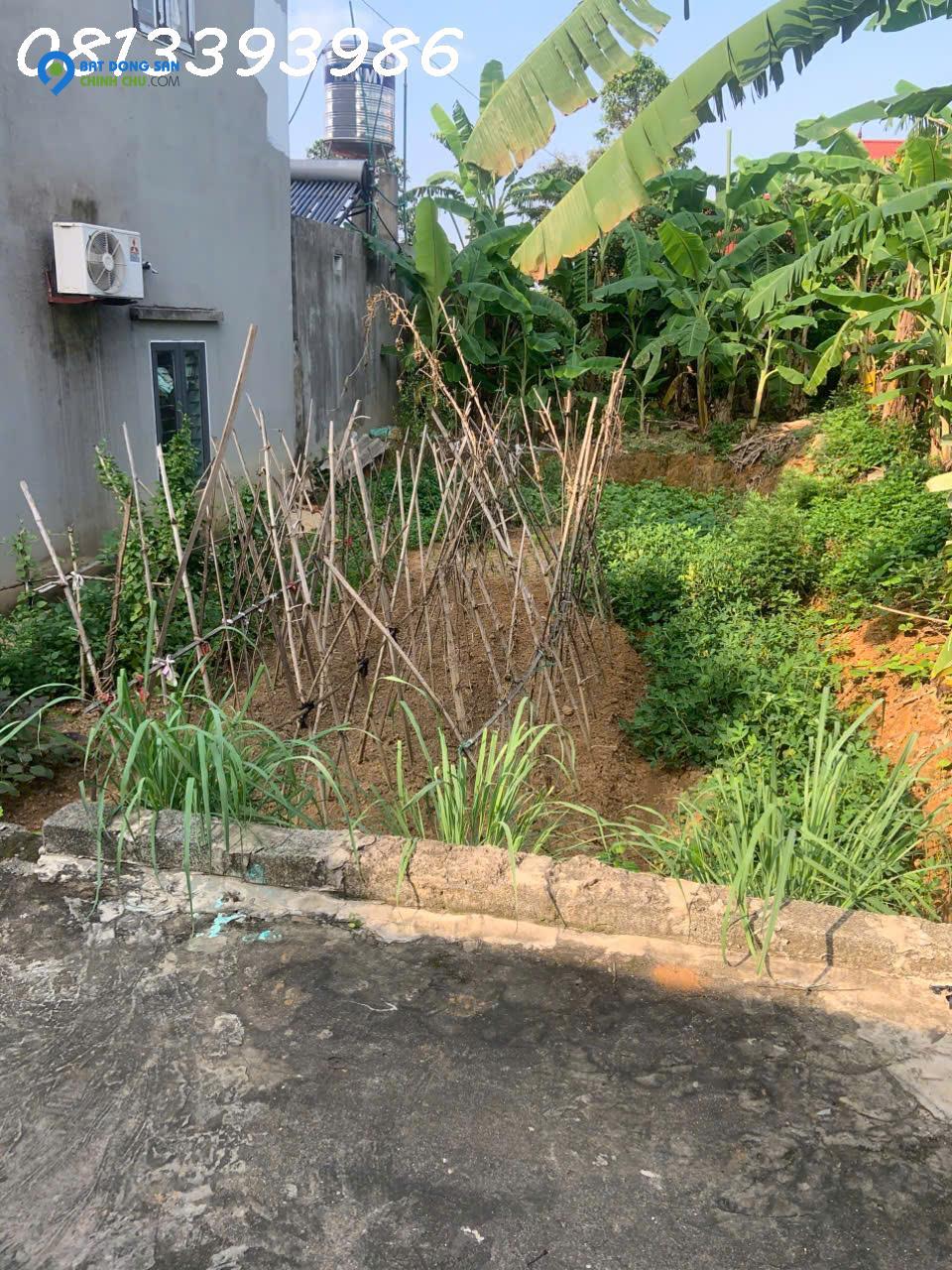 💣 Bất Ngờ Với Lô Đất 120m² – Gần KCN, Cách Trục Chính Chỉ 20m – Giá Chỉ Vài Trăm Triệu!