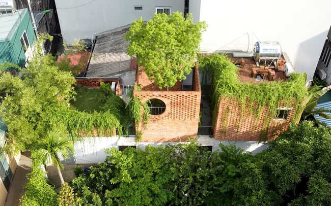 Ngôi nhà 64 m2 tại Hà Nội như một khu vườn với rau và cây ăn trái